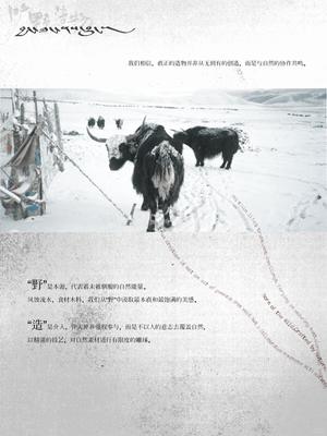 野与造